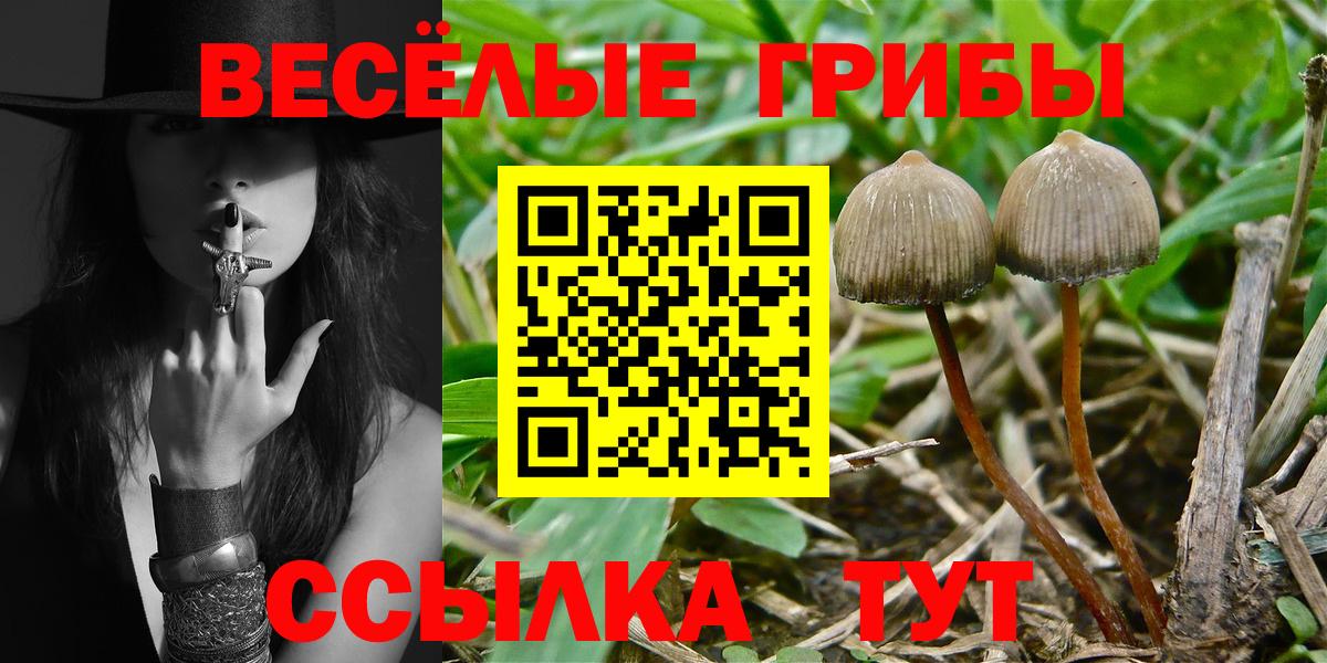 Чебаркуль  Галлюциногенные грибы GOLDEN TEACHER  Вход с VPN 